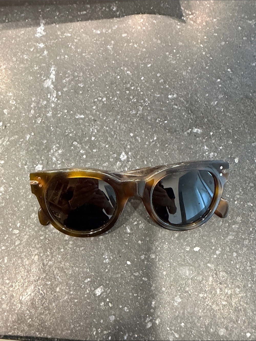 Celine Tortoise Brown Frame Sunglasses with Dark Lenses